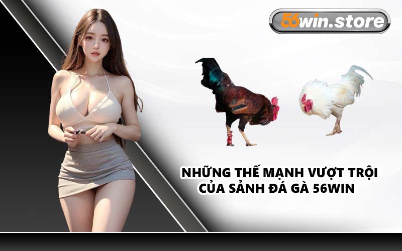 Những Thế Mạnh Vượt Trội Của Sảnh Đá Gà 56WIN