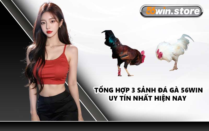 Tổng Hợp 3 Sảnh Đá Gà 56WIN Uy Tín Nhất Hiện Nay